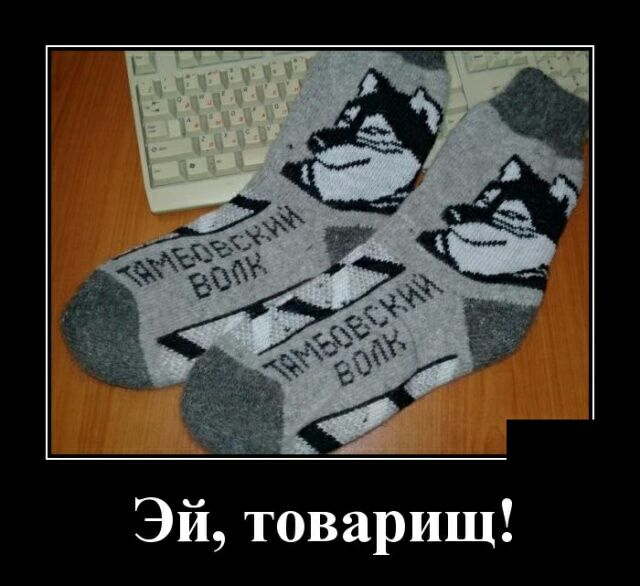 Эй товарищ