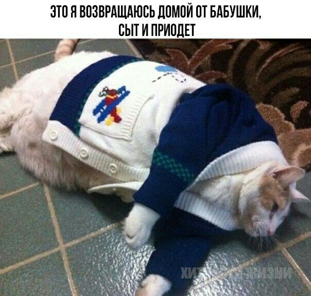 ЭТП Я ВПЗВРАЩАЮВЬ ДОМОЙ ОТ БАБУШКИ БЫТ И ПРИПЛЕТ