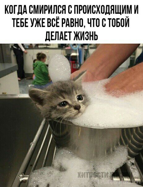 КОГДА ОМИРИЛРЯ О ПРОИОХОЛЯЩИМ И ТЕБЕ УЖЕ ВОЕ РАВНО ЧТО О ТОБОИ _ЛЕЛАЕТ ЖИЗНЬ