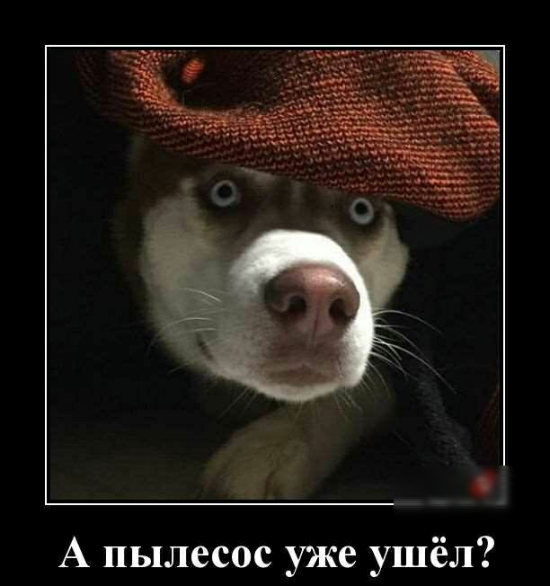 А пылесос уже ушёл