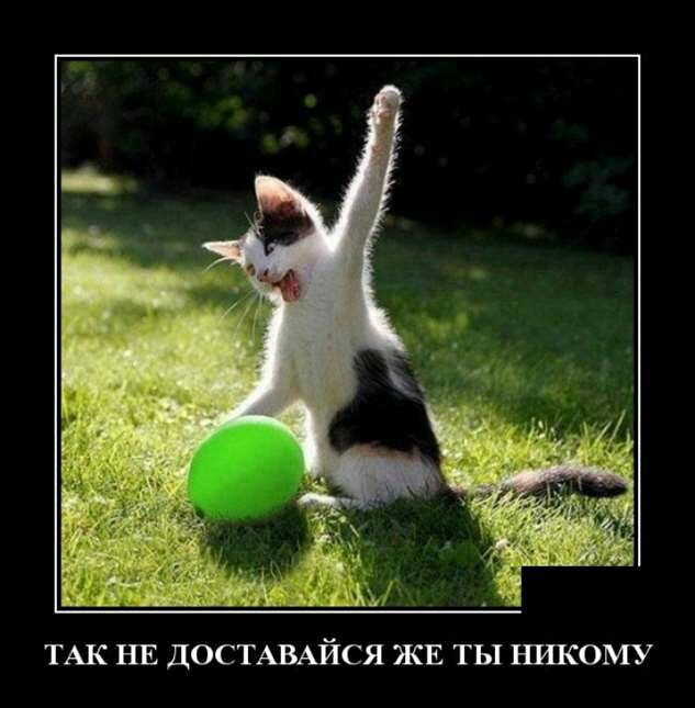 ТАК НЕ ДОСТАВАЙСЯ ЖЕ ТЫ ШОМУ