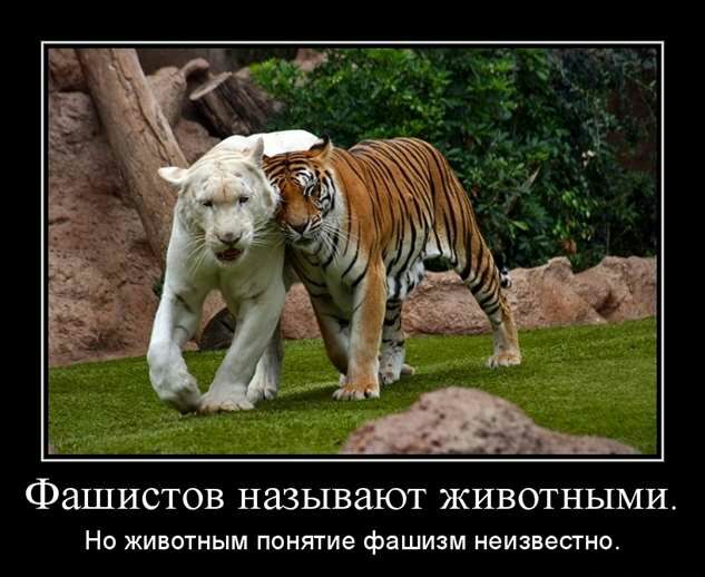 ФаШИСТОВ называют ЖИВОТНЫМИ Но животным понятие фашизм неизвестно