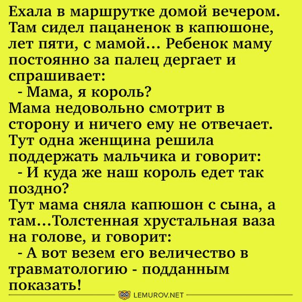 Ехала в маршрутке домой вечером Там сидел пацаненок в капюшоне лет пяти с мамой Ребенок маму постоянно за палец дергает И спрашивает Мама я король Мама недовольно смотрит в сторону и ничего ему не отвечает Тут одна женщина решила поддержать мальчика и говорит И куда же наш король едет так поздно Тут мама сияла капюшон с сына а там Толстенная хрустальная ваза на голове и говорит А вот везем его вел