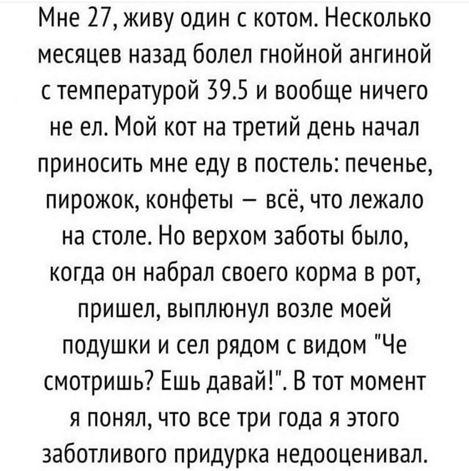 Мне 27 живу один с котом Несколько месяцев назад болел гнойной ангиной с температурой 395 и вообще ничего не ел Мой кот на третий день начал приносить мне еду в постель печенье пирожок конфеты всё что лежало на столе Но верхом заботы было когда он набрал своего корма в рот пришел выплюнул возле моей подушки и сел рядом с видом Че смотришь Ешь давай В тот момент я понял что все три года я этого заб