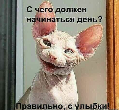 С чего должен нфинаться день