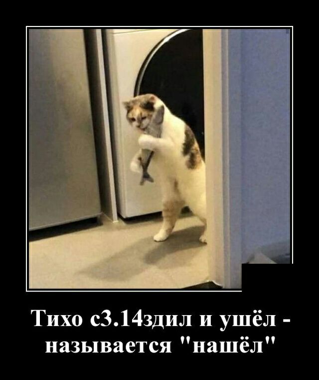 Тихо с314здил и ушёл называется нашёл