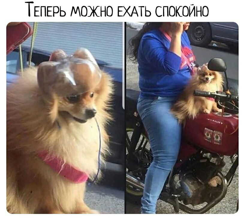 ТЕПЕРЬ можно ЕХАТЬ спокойно