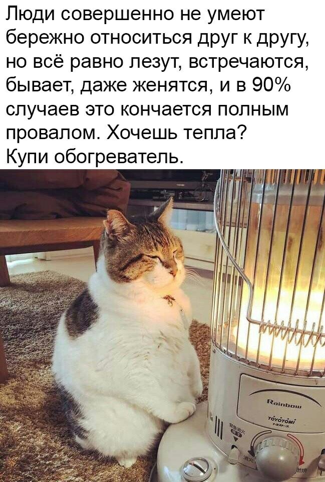 Люди совершенно не умеют бережно относиться друг к другу но всё равно лезут встречаются бывает даже женятся и в 90 случаев это кончается полным провалом Хочешь тепла Купи обогреватель
