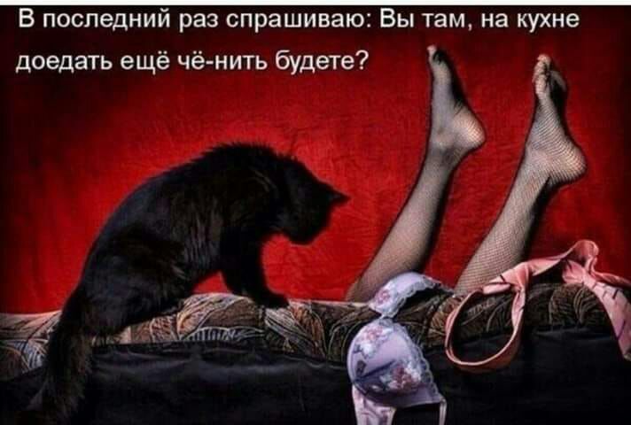 В последний раз спрашиваю Вы там на кухне доедать ещё чё нить будете
