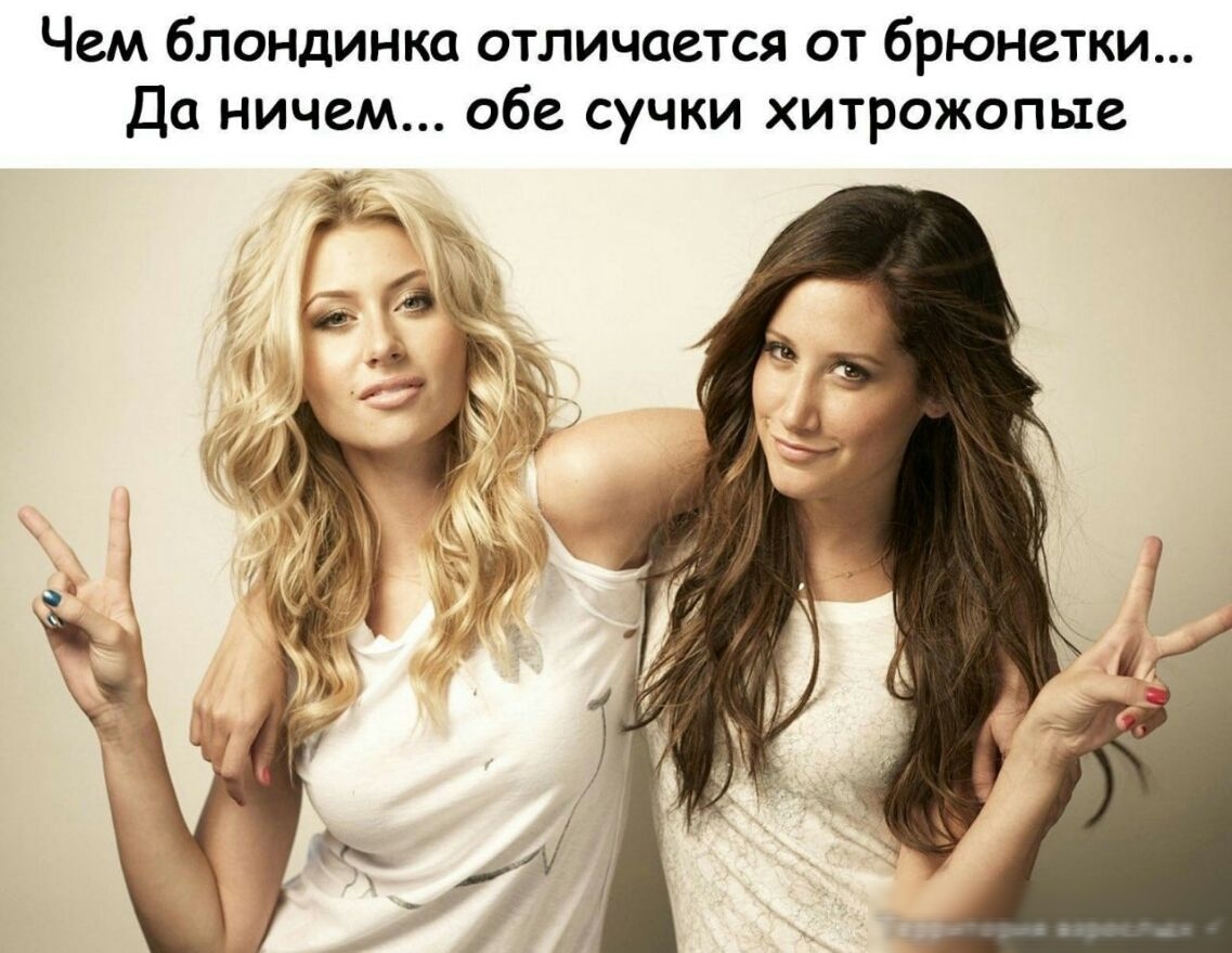 Чем блондинка отличается от брюнетки Да ничем обе сучки хитрожопые