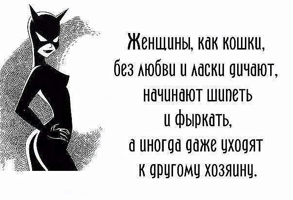 Женщины как кошки без АЮбВЦ и Ааски цичаюп начинают шипеть и фыркать иногда даже цхоцят корцгомц хозяинц