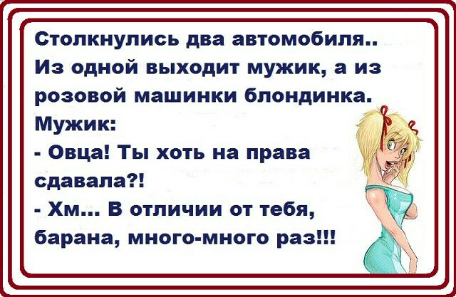 Столкнулись два автомобиля Из одной выходит мужик а из розовой машинки блондинка Мужик Овца Ты хоть на права сдавала Хм В отличии от тебя барана много много раз