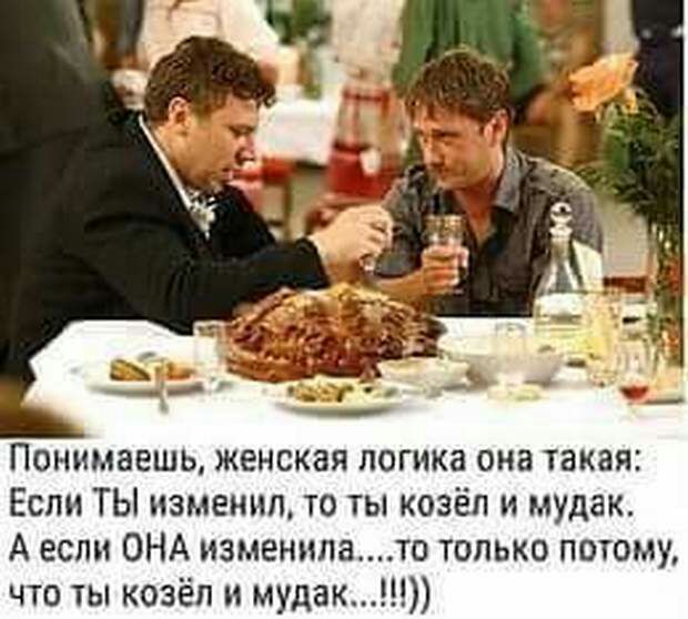 Понимаешь женская логика она такая Если ТЫ изменил то ты козёл и мудак А если ОНА изменилато только потому что ты козёл и мудак
