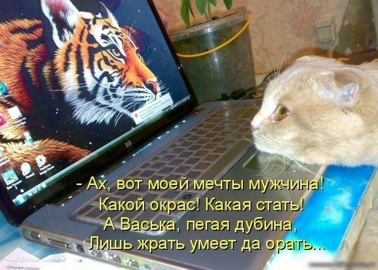 Авот моегйдуэечты ню _ Какей вираже Какая стать ЯдВто ва пегая дубина жрать умеет да с аггь _