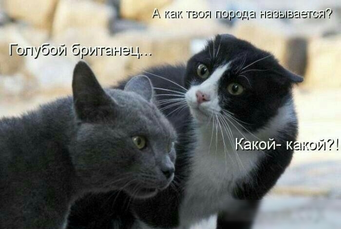 _ гэг пзча д Г ЦП уб г Ц 6091 Г ЕП ЛЭЦ