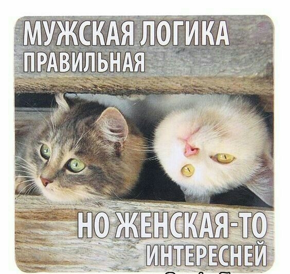 ЁМУЖСКАЯЛОГ И КА