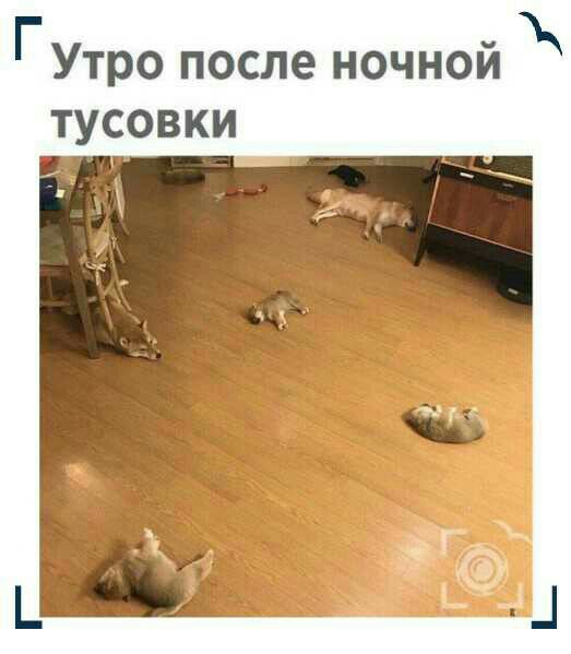 ГУтро после ночной тусовки Ч