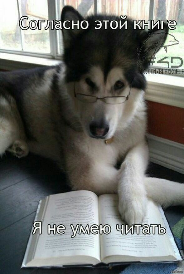 гліасно этой книге