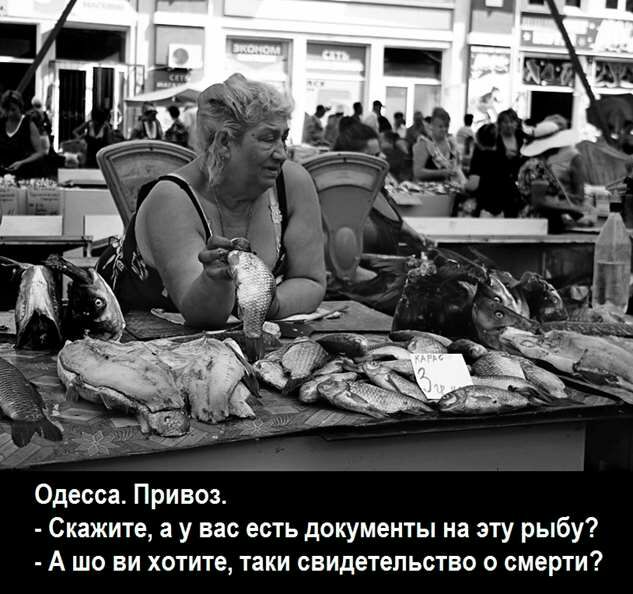 Одесса Привоз Скажите а у вас есть документы на эту рыбу А шо ви хотите таки свидетельство о смерти