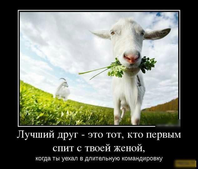 Лучший Друг это тот кто первым спит с твоей женой когда ты уехал в длительную командировку