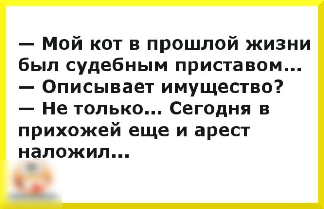 Мой кот в прошлой жизни был судебным приставом Описывает имущество Не только Сегодня в прихожей еще и арест наложил