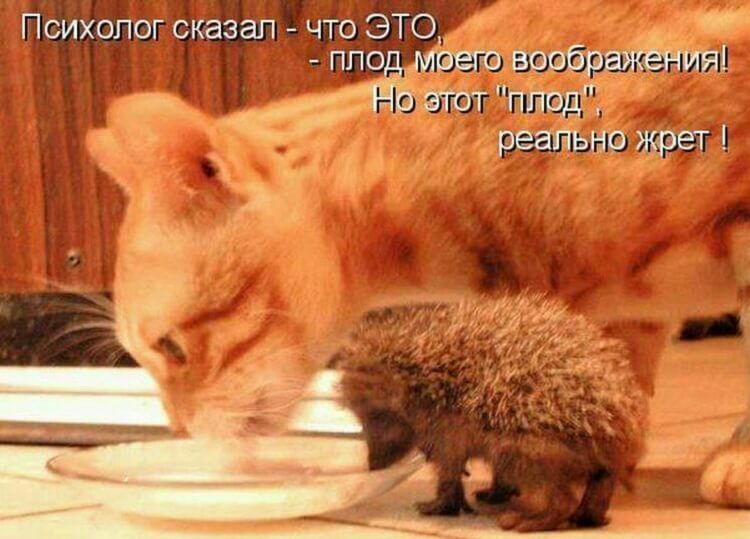 Психолог сказап что ЭТО т _ ППо вэфр д Ндд _ р Н жрет 1