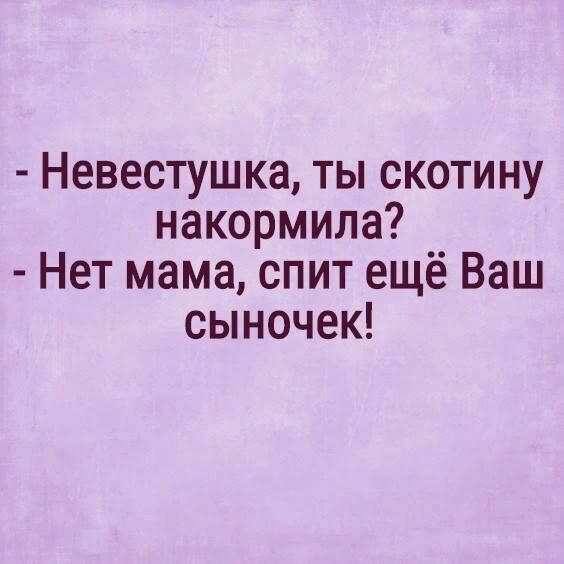 Невестушка ты скотину накормила Нет мама спит ещё Ваш сыночек