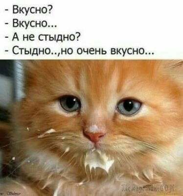 Вкусно Вкусно А не сгыдно Стыдноно очень вкусно