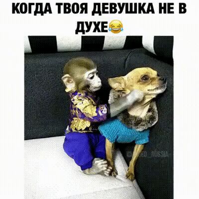 КШдА твоя дЕВУШКА НЕ В дУХЕцэ