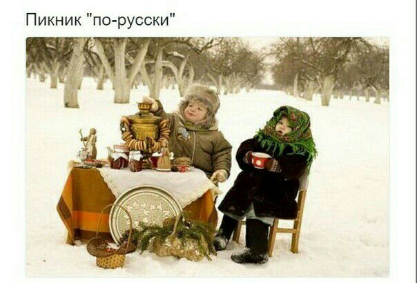 Пикник по русски