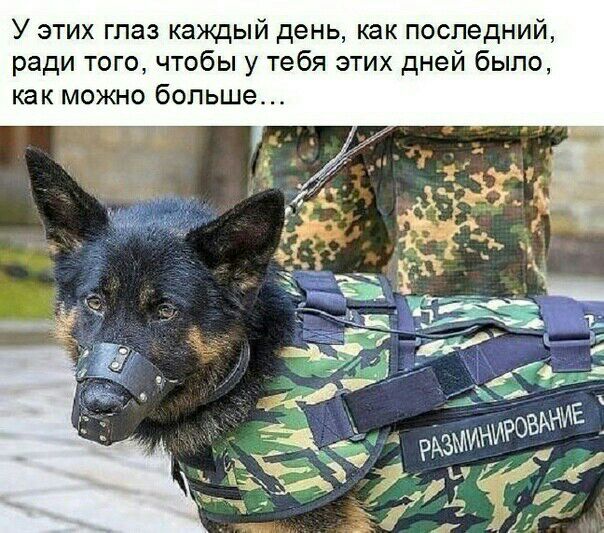 У этих глаз каждый день как последний ради того чтобы у тебя этих дней было как можно больше