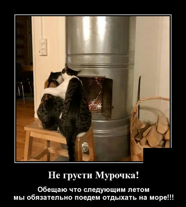 Не грусти Мурочка Обещаю что следующим летом мы обязательно поедем отдыхать на море
