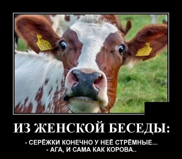 ЗА ИЗ ЖЕНСКОЙ БЕСЕДЫ СЕРЁЖКИ КОНЕЧНО У НЕЁ СТРЁМНЫЕ АГА И САМА КАК КОРОВА