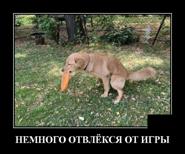 НЕМНОГО ОТВЛЁКСЯ ОТ ШРЫ