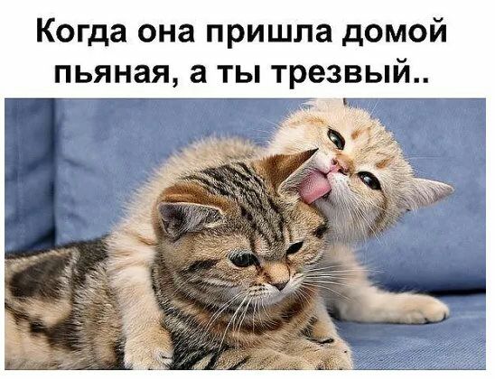 Когда она пришла домой пьяная а ты трезвый