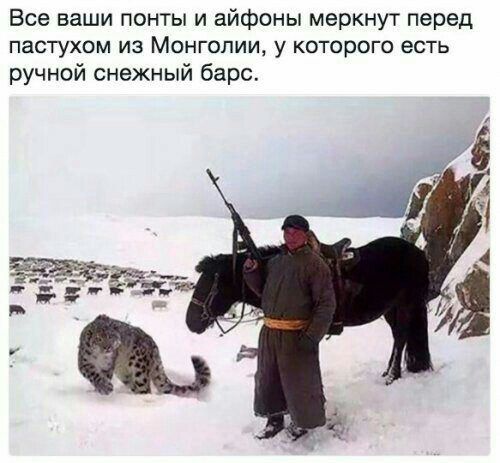 Все ваши понты и айфоны меркнут перед пастухом из Монголии у которого есть ручной снежный барс