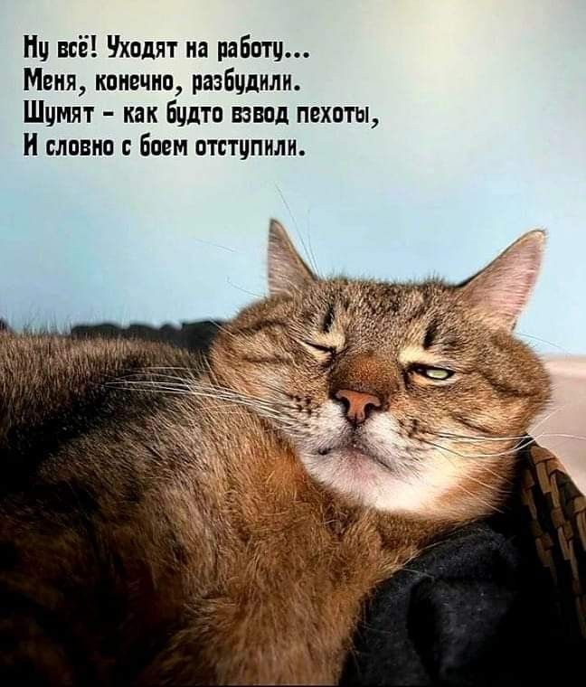 Ну всё! Уходят на работу... Меня, конечно, разбудили. Шумят – как будто взвод пехоты, И словно с боем отступили.