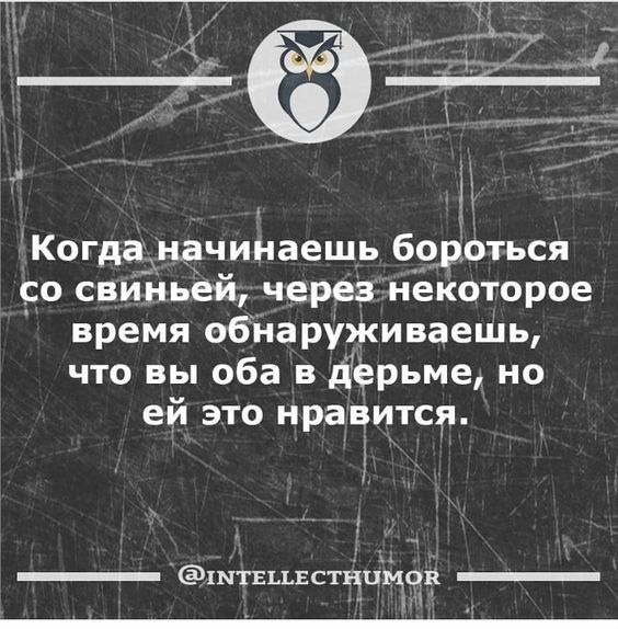 Когда начинаешь бороться со свиньей, через некоторое время обнаруживаешь, что вы оба в дерьме, но ей это нравится.