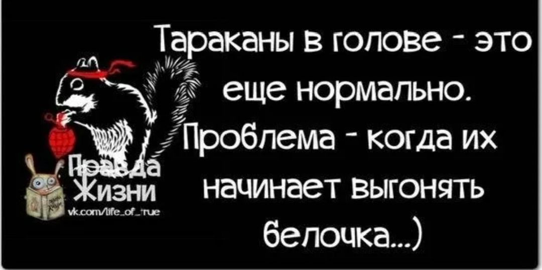 Тараканы в голове это еще нормально Пробпема когда их ё изни Начинает ВЫГОНЯТЬ ч белочка