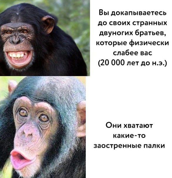Вы докапываетесь до своих странных двуногих братьев которые физически слабее вас 20 000 лет до нэ Они хватают какието ЗВОСТРЕННЫЕ ПВПКИ