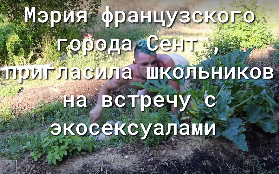 9590КСУЭЛЭМИ