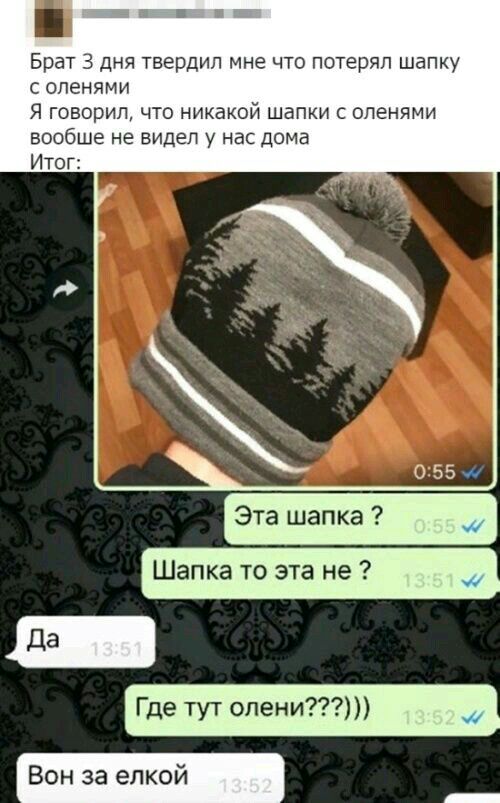 Брат 3 дня твердил мне что потерял шапку опенями Я говорил что никакой шапки с опенями вообще не видел у нас дома Итог Эта шапка Шапка то эта не Где тут опени Вон за елкой _
