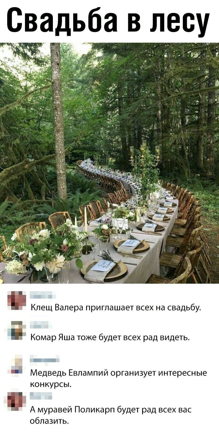 Свадьба в лесу х З Клещ Валера приглашает всех на свадьбу Комар Яша тоже будет всех рад видеть а Медведь Евпампии организует интересные конкурсы А муравей Поликарп будет рад всех вас облазитв