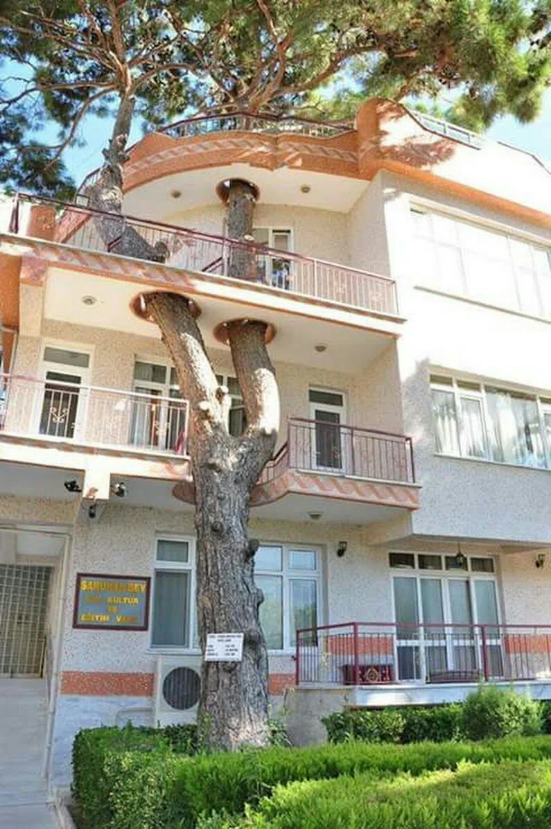 итд __ ШЪ