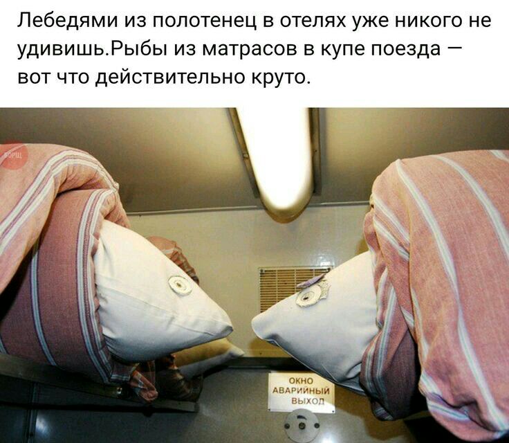 Пебедями ИЗ ПОЛОТеНЭЦ В отелях уже НИКОГО не УДИВИШЬ_РЫ6Ы ИЗ матрасов В купе поезда _ ВОТ ЧТО действительно КРУТО