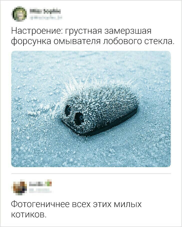 Настроение грустная замерзшая форсунка омывателя лобового стекла ц ФОТОГЭНИЧНЗЭ ВСЭХ ЭТИХ МИЛЫХ КОТИКОВ