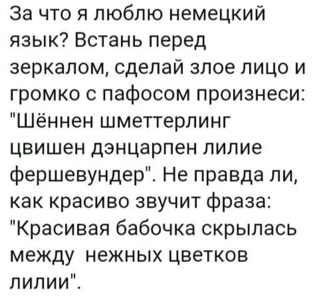 За что я люблю немецкий язык Встань перед зеркалом сделай злое лицо и громко с пафосом произнеси Шённен шметтерлинг цвишен дэнцарпен лилие фершевундер Не правда ли как красиво звучит фраза Красивая бабочка скрылась между нежных цветков лилииЧ