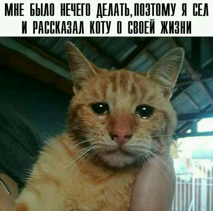 МНЕ БЫЛИ ИЕЧЕП дЕИИТЬИ13ПМУ И ПЕИ И РИППИИЗМ ИИТУ ПВИЕИ ЖИЗНИ