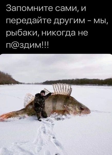 Запомните сами и передайте ЦРУгим мы рыбаки никогда не
