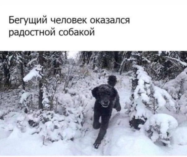 й бакс Бегущий человек оказался радосгнои со